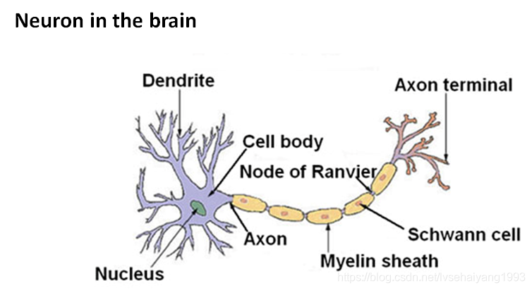 fig6