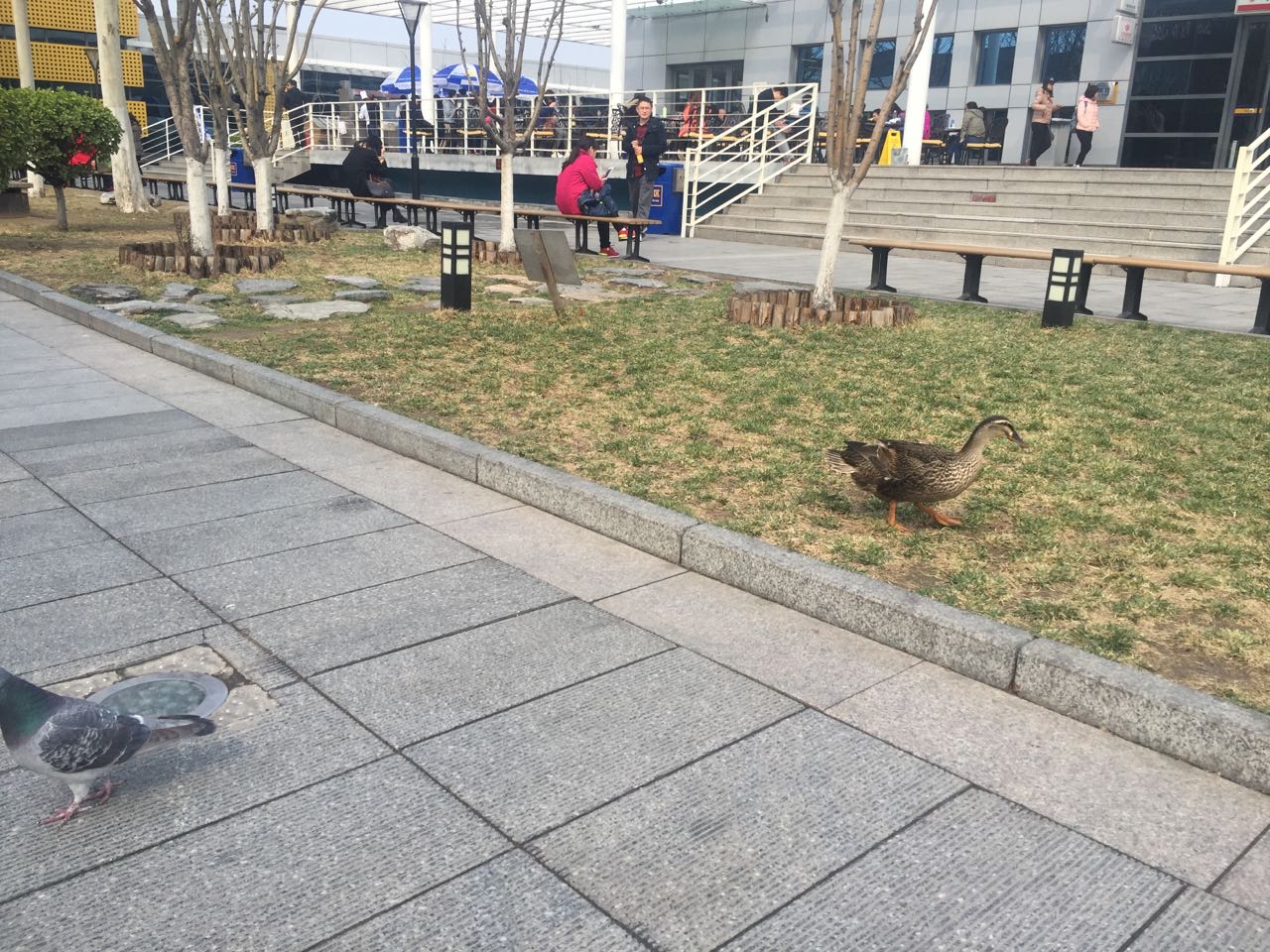 微信图片_20170401224332.jpg