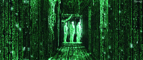 cfe35487c70409c378c33155c7da2d96.gif