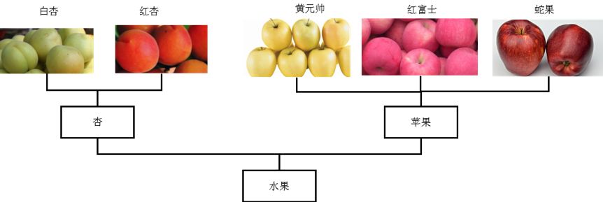 6ecbaffa55039ceef683eb7e2b6167c9.png