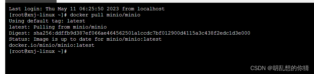 Docker下拉Minio服务