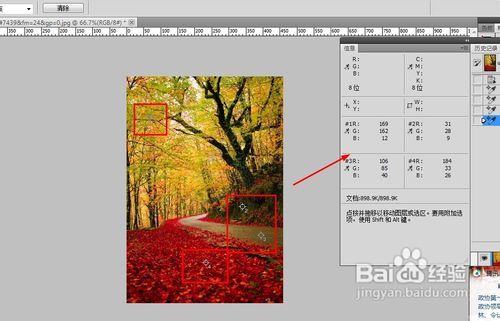 【PS教程】吸管及颜色取样器的使用方法