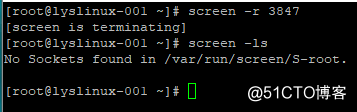 Linux 系统日志、screen 工具