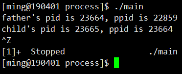 截图时间不匹对,所以进程id不同