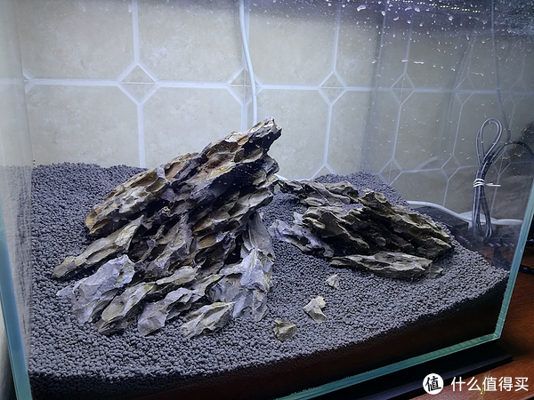开缸种草篇