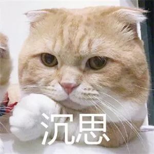 29389232bec4e0a51190d2f4383daf55.png