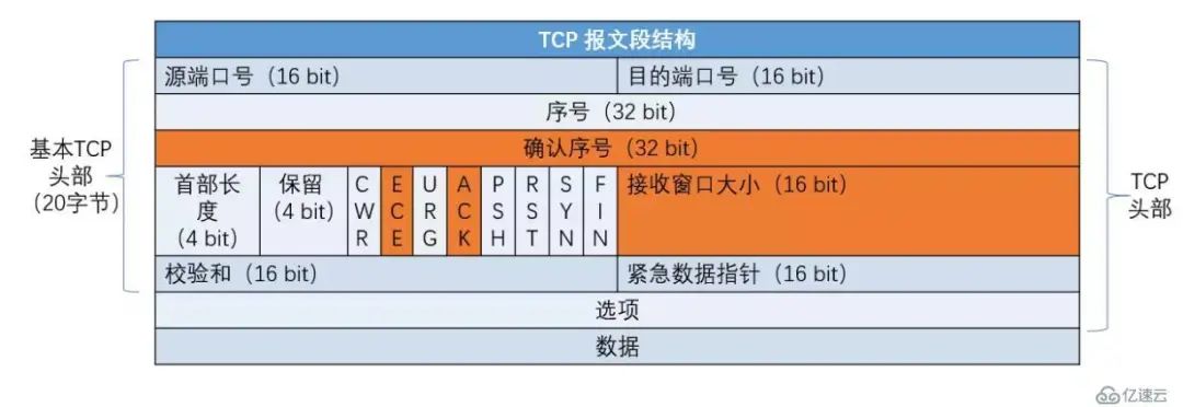 【网络协议】【TCP/IP】史上最全TCP/IP头格式分析!图解超赞超详细!!!_网络通信协议基础-CSDN专栏