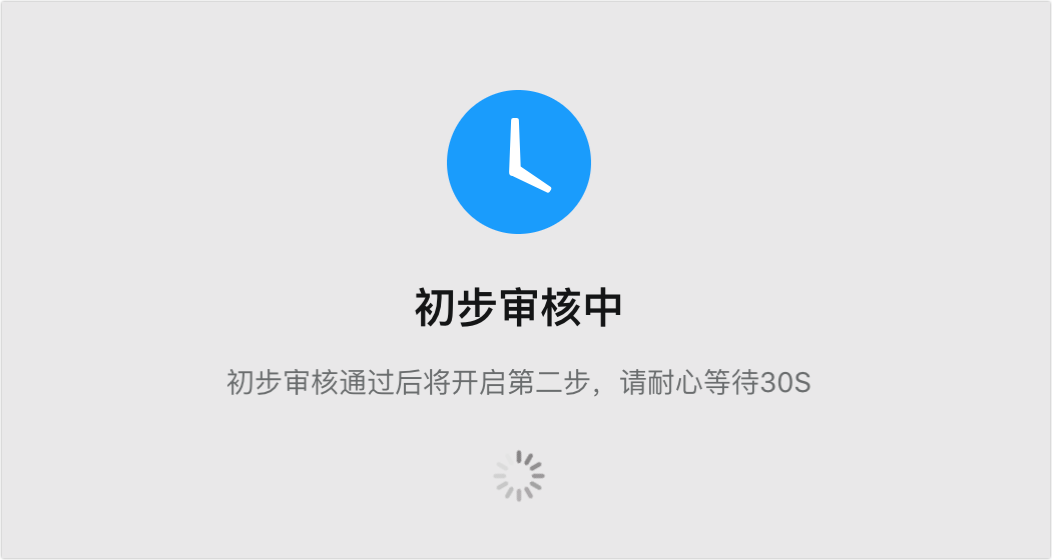 初步审核