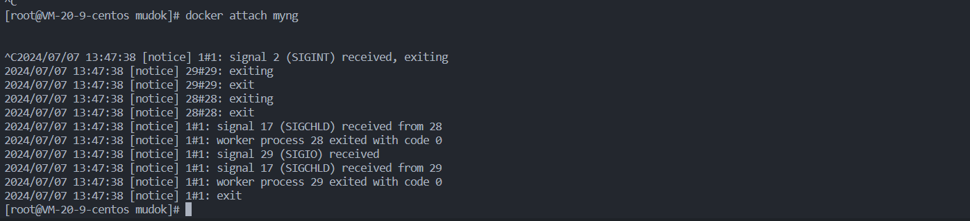 Docker 使用基础（3）—容器_docker --cpus