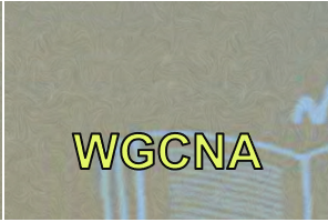 11cef3319bdf05c486c3b111dd851425.png