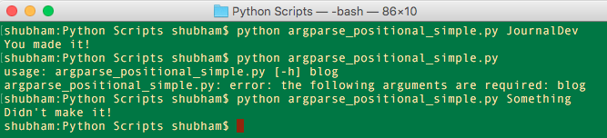 python argparse positional arguments