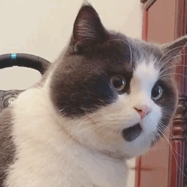 3c4dd6e880dbc64161fb04477fb1f78f.gif