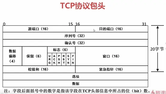 11997621-87ff692f35751cc1.png