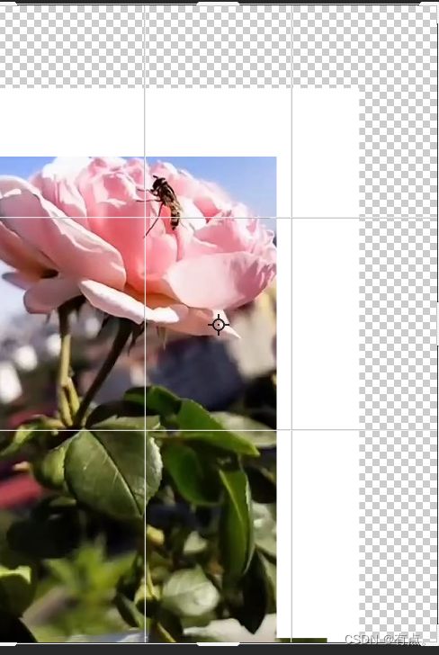 PS系统教程06-图片裁剪-详细版插图5 在这里插入图片描述