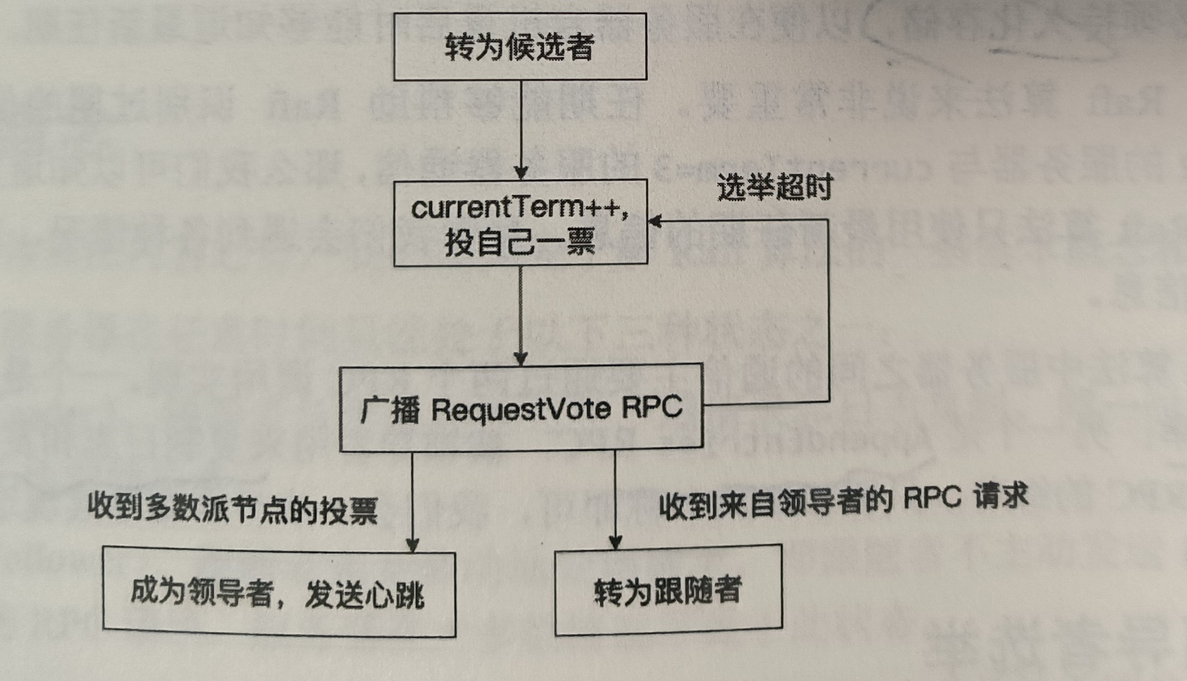 候选者参与选举