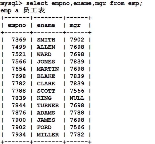 image-20220207171947016