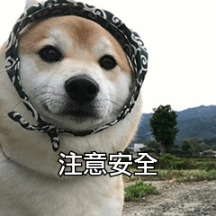 6765d0de6f83de924b23fe24c80b10ee.png