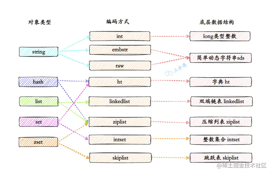 类型-编码-结构