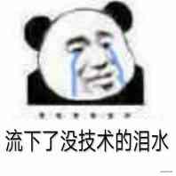 没技术的眼泪.jpeg