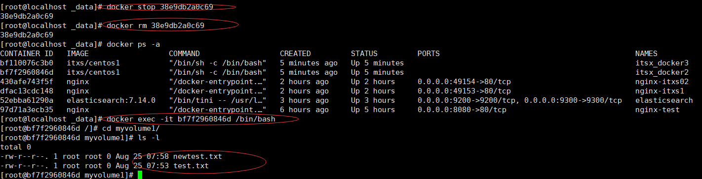 image-20210825160718228