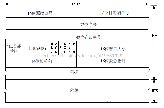 8923455-81d66c49240dde65.png
