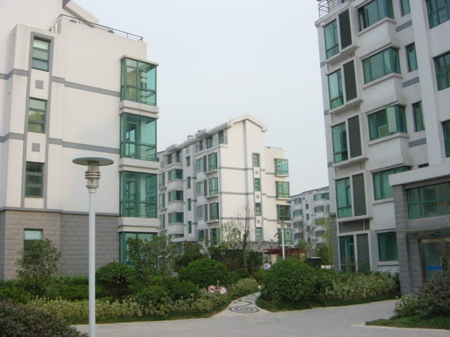 DSC02079.JPG