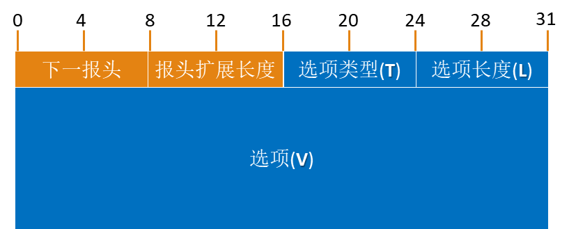 IPv6 地址格式及报文详解 | IPv4 与 IPv6 协议解析与报文对比插图37 img