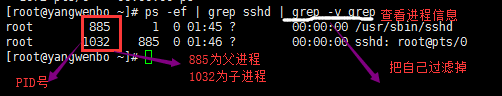 image.png-12.2kB