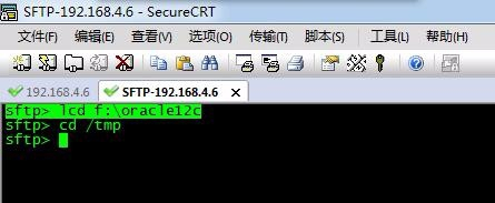 使用SecureCRT的SFTP将文件上传到Liunx系统上