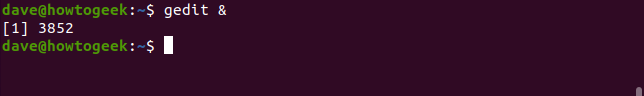 gedit & command in a terminal window