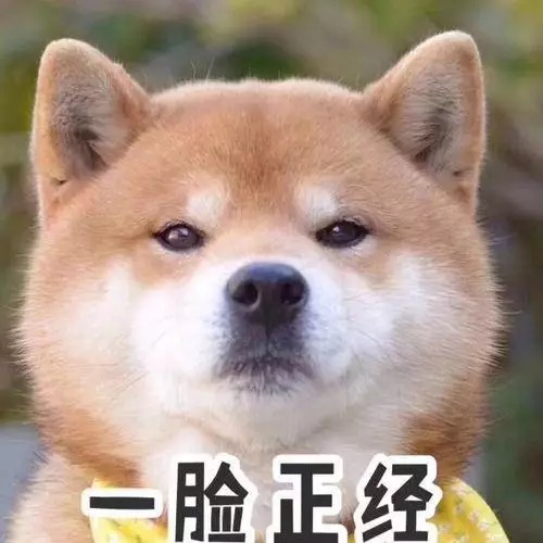 72ad215f9bfa4df71d2280e1700e8106.png