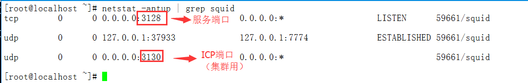 QQ截图20170921005543.png-16.6kB