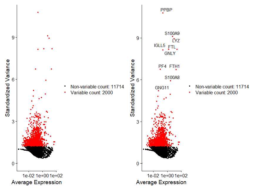 可视化2000个高变基因中的Top10基因