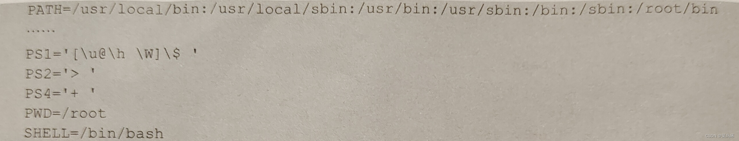 Linux 掌握shell基础-CSDN博客