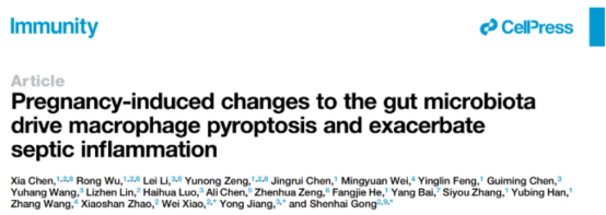 高分文献解读｜妊娠引起的肠道菌群改变驱动巨噬细胞焦亡和脓毒症炎症反应
