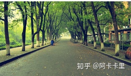 785908e49deb5161c5662c89a7c82715.png