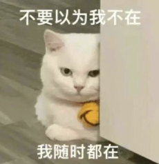 42ee9d53d2680b91e809980c9929ecf0.png