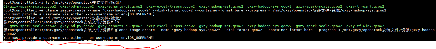 openstack的镜像上传错误