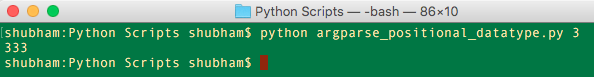 python argparse argument data type