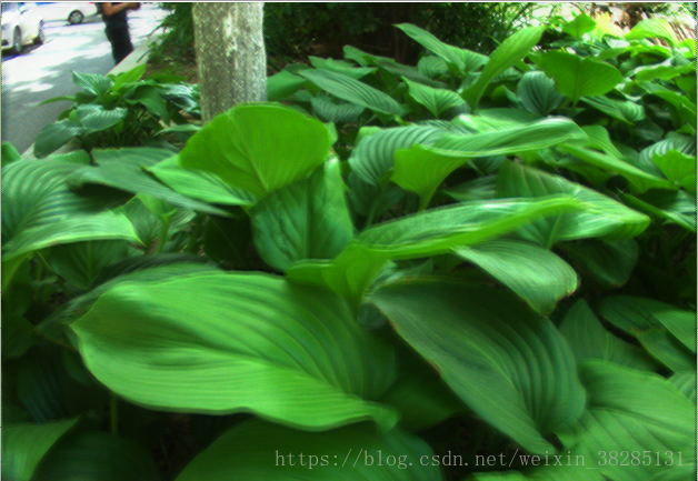 这里写图片描述