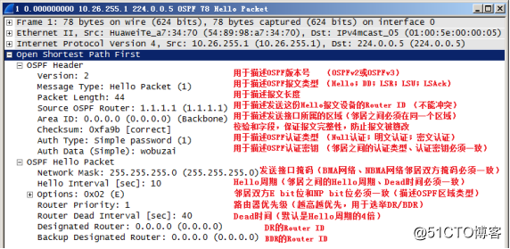 OSPF邻接关系建立