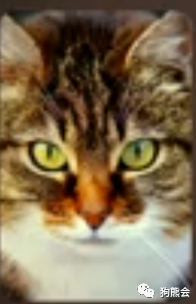 96d57ed1d8b6e02b65739efdf3ae01fe.png