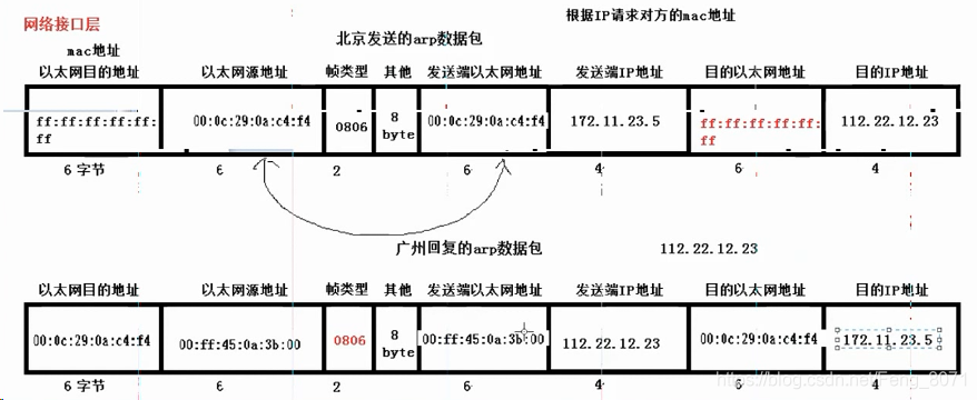 ARP查找MAC地址