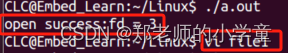 Linux文件操作——写入及读取