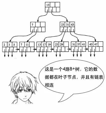 「面试现场」为什么MySQL数据库要用B+树存储索引