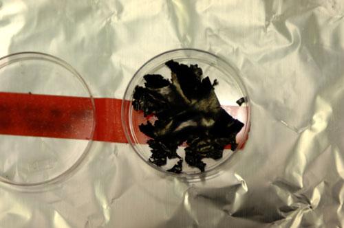 高速充电手机电池问世充满电只需10秒(图)