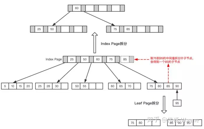 cdb6772eedc5f788964a03b9947e08e3.png