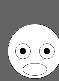 码绘结果