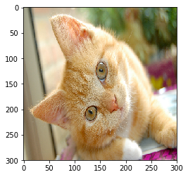 img_be5b5cb95960c747101c4a85240678c2.png