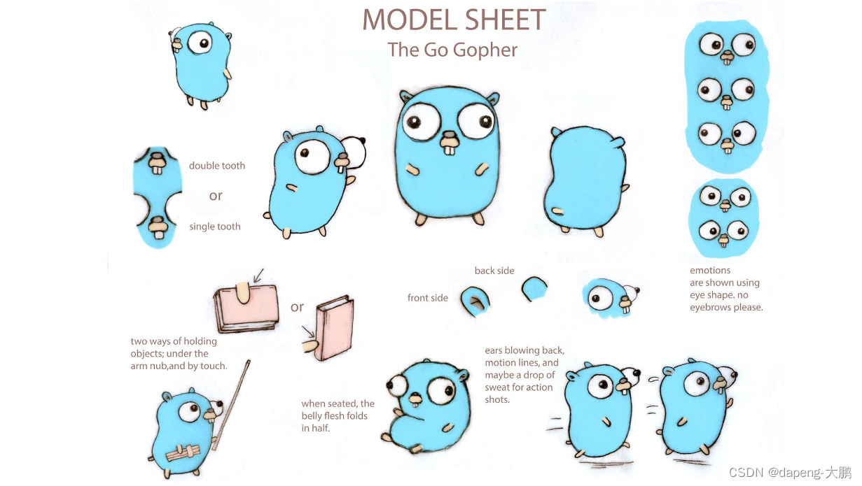 Gopher model sheet